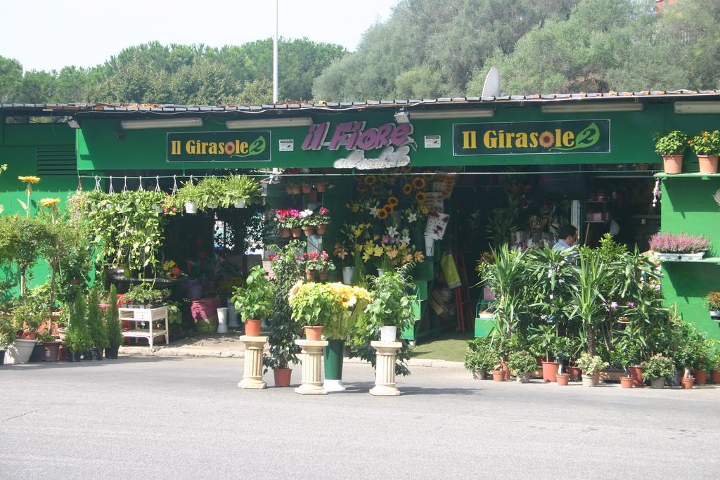 Vittoria Guest House Roma Dış mekan fotoğraf